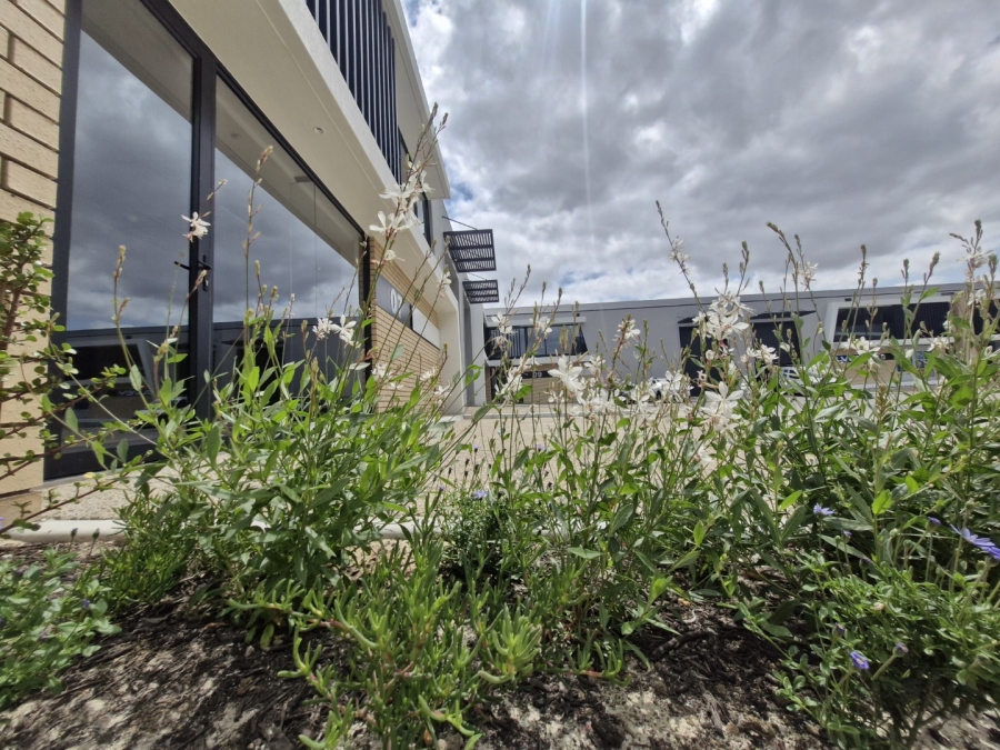 To Let commercial Property for Rent in Stikland Industrial Western Cape